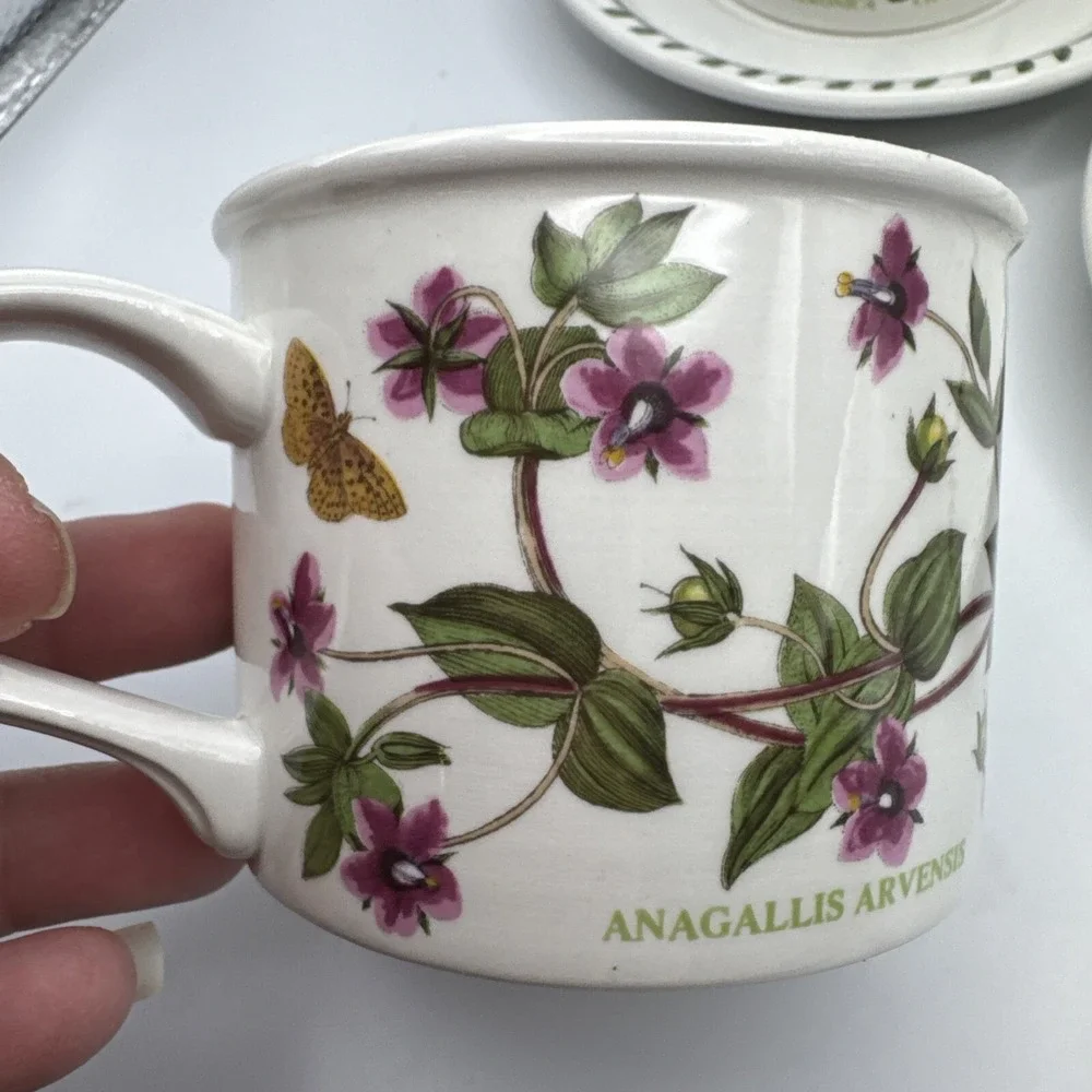 Portmerion Botanic Garden Drum Flat Coffee Cups & Saucers 2 Sets Tea Pimpernel +